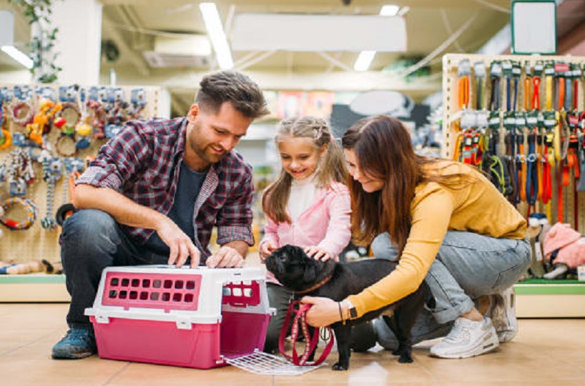 Cómo poner una tienda para mascotas